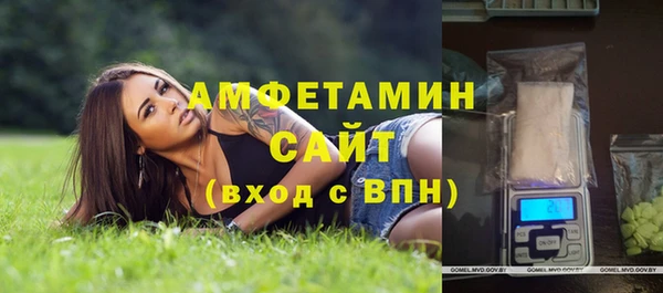 прущие грибы Бородино