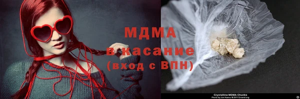 прущие грибы Бородино