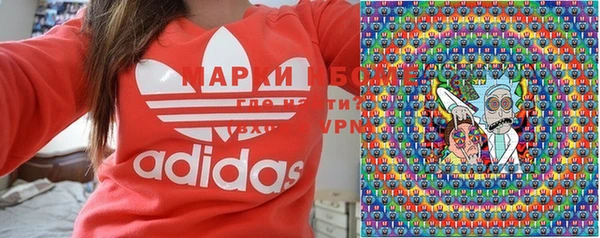 стаф Белокуриха