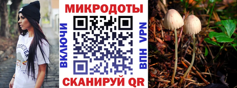 Галлюциногенные грибы Psilocybe  Еманжелинск 